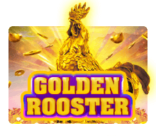 goldenrooster